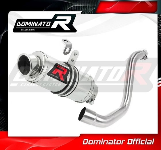 200 DUKE (2011 - 2016) exhaust silencer gp1 | Dominator