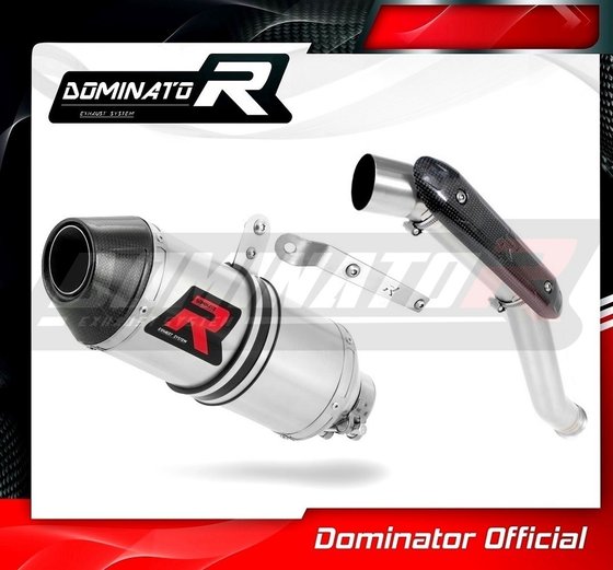 RC 390 (2017 - 2020) exhaust silencer hp3 hi level | Dominator