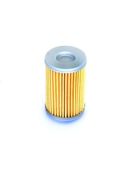 690 ENDURO R (2008 - 2013) oil filter | ATHENA