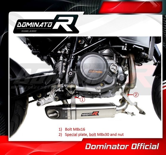 690 DUKE (2008 - 2011) exhaust silencer hp4 | Dominator