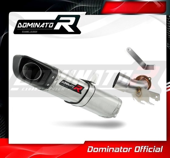 690 DUKE (2008 - 2011) exhaust silencer hp4 | Dominator