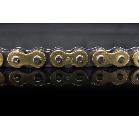 50 (all models) (2009 - 2023) r1 works chain 415x112 | RENTHAL