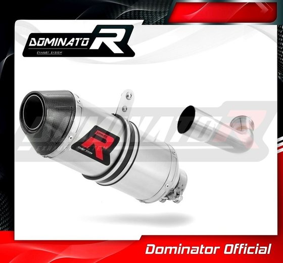 RC 390 (2017 - 2020) exhaust silencer hp3 | Dominator