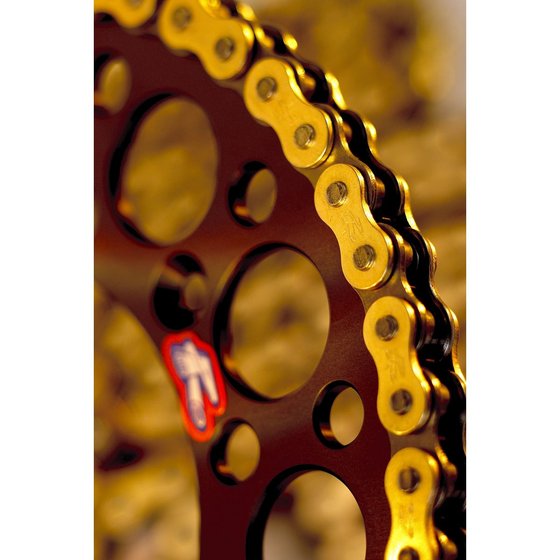 350 SX-F (2010 - 2023) mx works r1 chain | RENTHAL