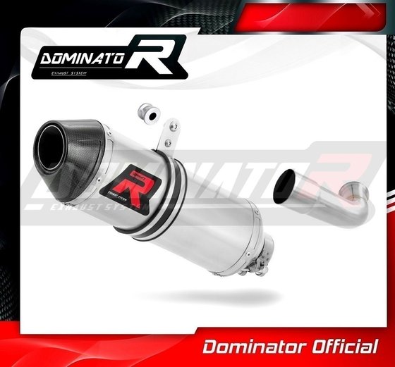 390 DUKE (2017 - 2020) exhaust silencer hp3 | Dominator