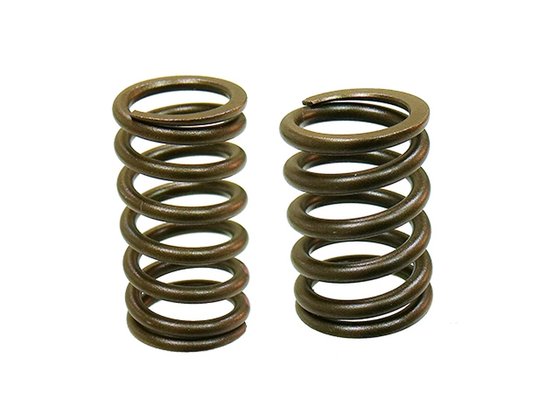 450 EXC-F SIX DAYS (2017 - 2022) valve spring | NACHMAN