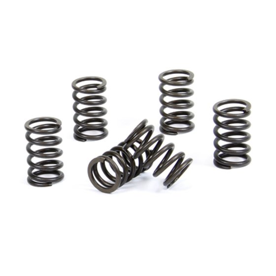 65 SX (2000 - 2008) clutch spring kit | ProX