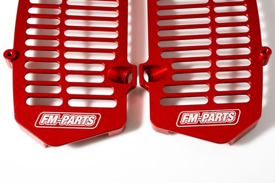 300 EXC SIX DAYS (2019 - 2022) radiator guards | FM-PARTS