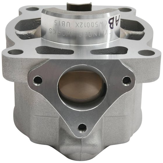 50 (all models) (2009 - 2023) standard bore cylinder | Cylinder Works