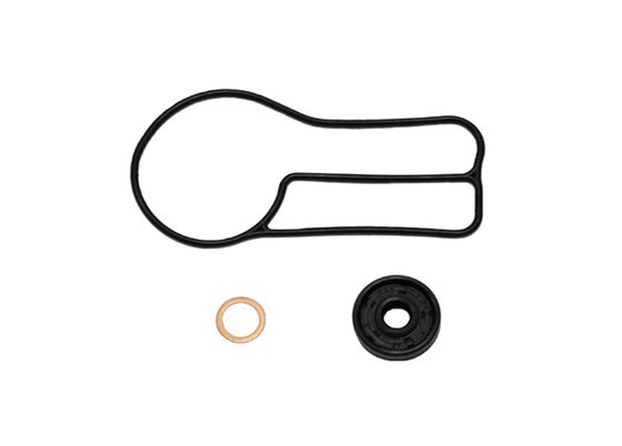 300 EXC (2003 - 2016) water pump repair kit | NACHMAN