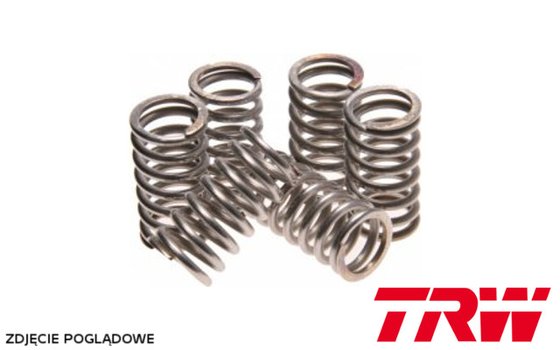 150 SX (2009 - 2015) clutch spring kit | TRW