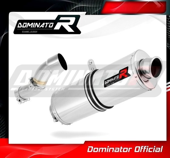 690 SMC (2008 - 2011) exhaust silencer oval | Dominator