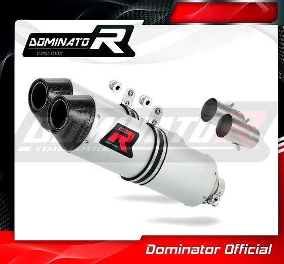 660 SMC (2005 - 2006) exhaust silencer mx2 | Dominator