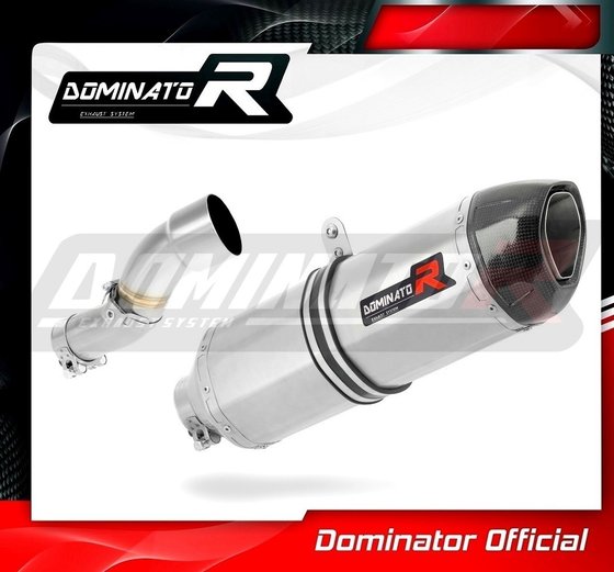 690 ENDURO R (2009 - 2018) exhaust silencer hp1 | Dominator