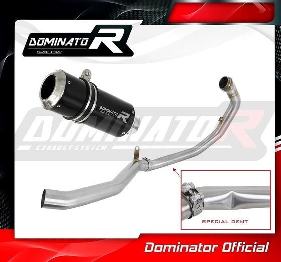 390 DUKE (2021 - 2022) full exhaust system silencer gp black | Dominator