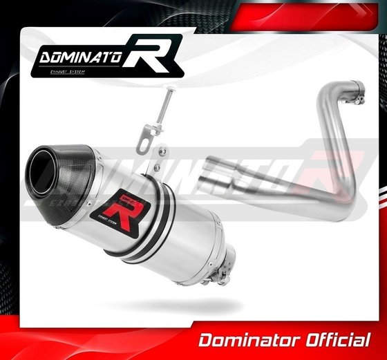 390 DUKE (2013 - 2016) exhaust silencer hp3 | Dominator