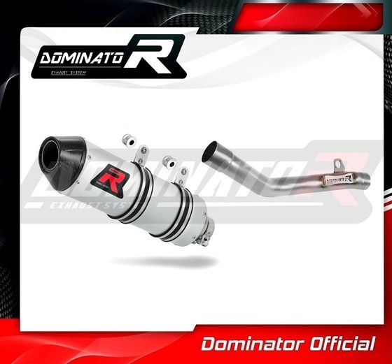 350 EXC F (2020 - 2022) exhaust silencer muffler mx2 | Dominator