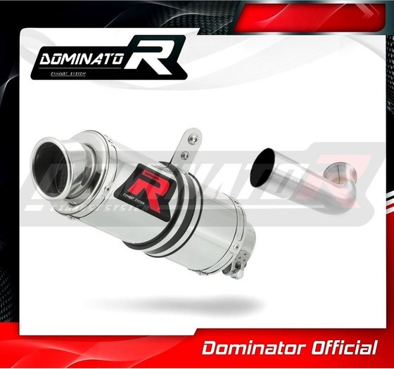 125 DUKE (2017 - 2020) exhaust silencer gp1 | Dominator