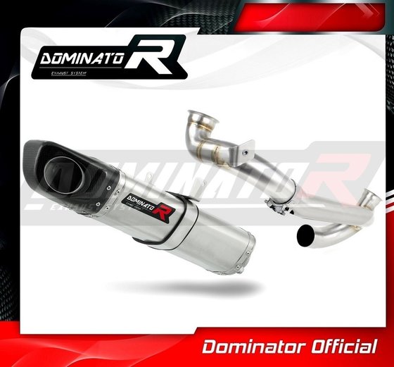 1190 RC8 (1970 - 2022) exhaust silencer hp4 | Dominator