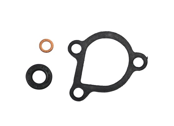 50 (all models) (2000 - 2008) water pump repair kit | NACHMAN